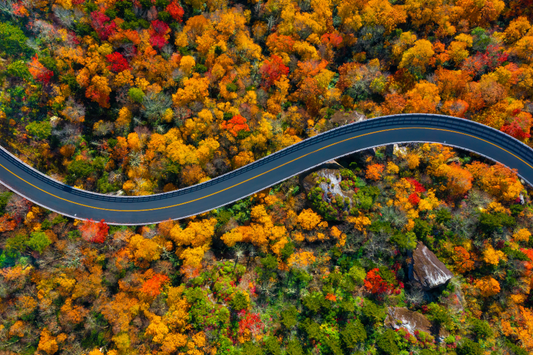 Top 10 Scenic Fall Road Trips Across the U.S.